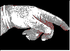 Hand