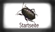 Zur Startseite