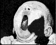Kopf