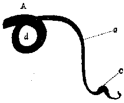 Grafik1