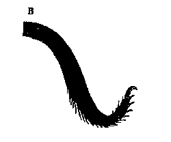 Grafik2
