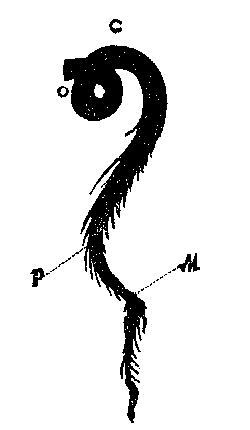 Grafik3